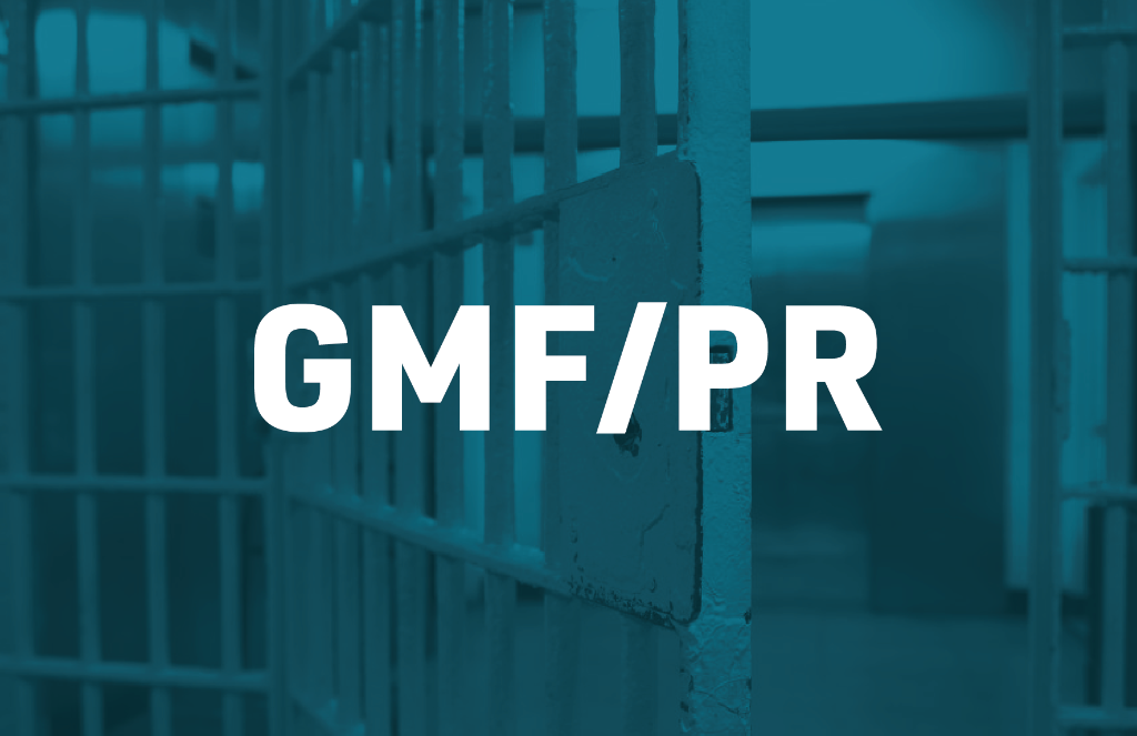 GMF-PR e Conselho Penitenciário do Estado debatem diretrizes sobre o sistema penal