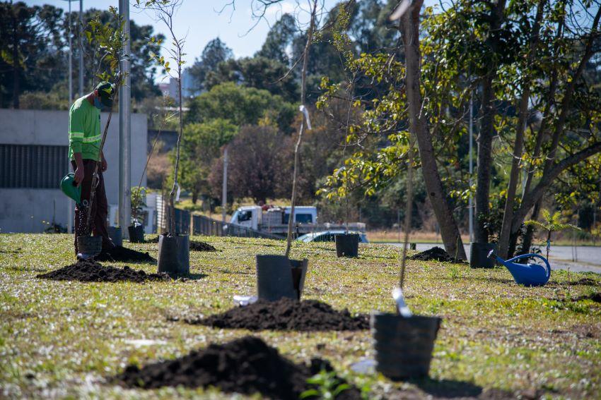 Comarca de Rebouças instala Bosque da Justiça Cidadã