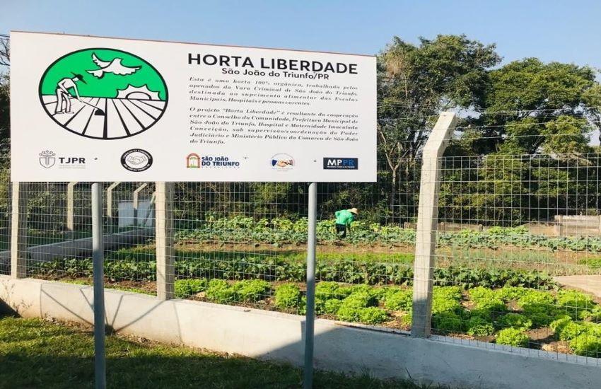 Projeto Horta da Liberdade completa 4 anos de atuação em São João do Triunfo
