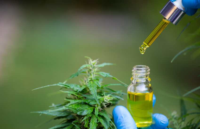 STJ convoca audiência pública para analisar autorização de importação e cultivo de Cannabis